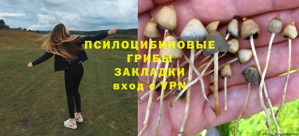 дживик Алзамай